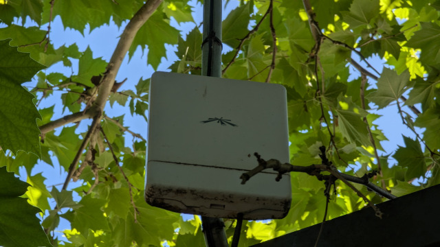 camp_wifi_1
